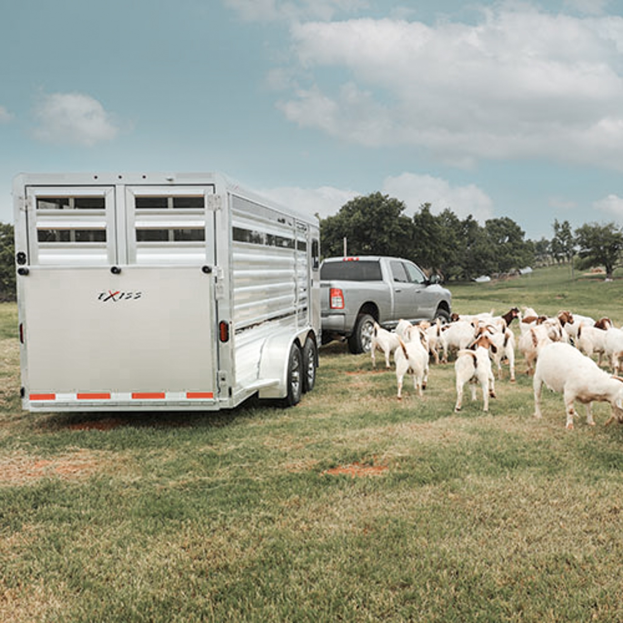 Low Profile Stock Trailers