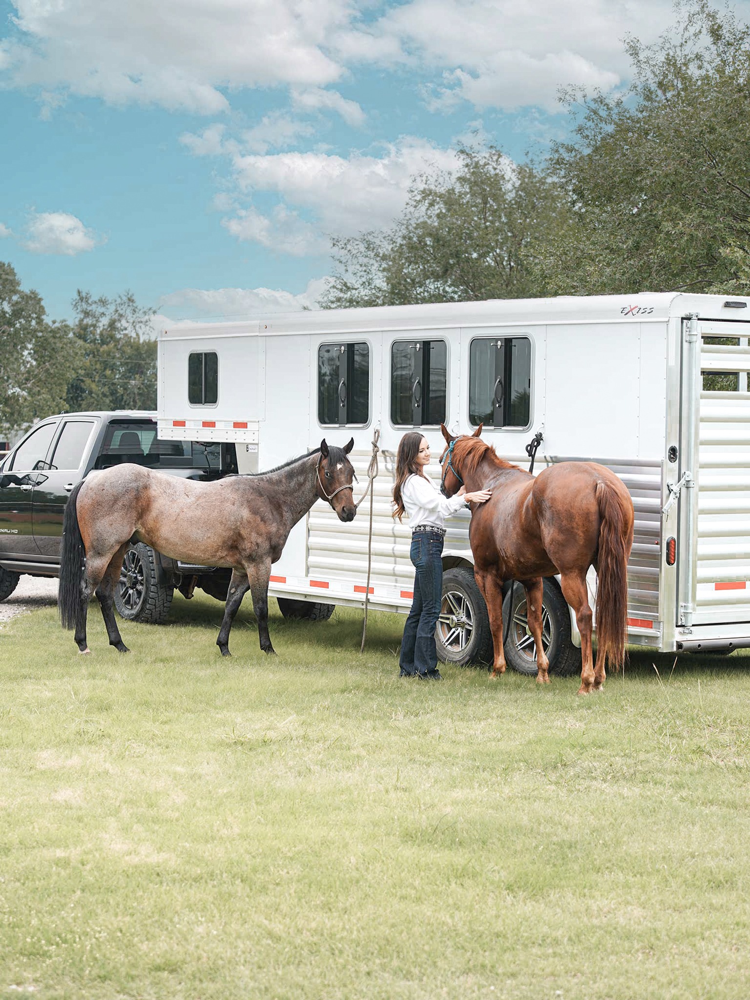 Exiss Horse Trailer