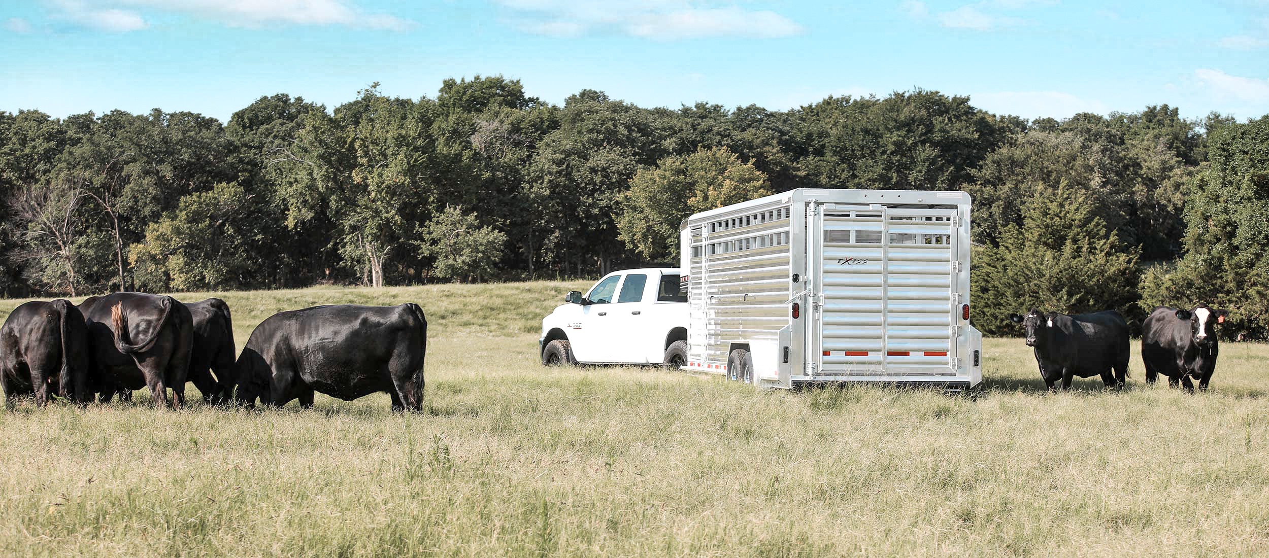 Exiss livestock trailer