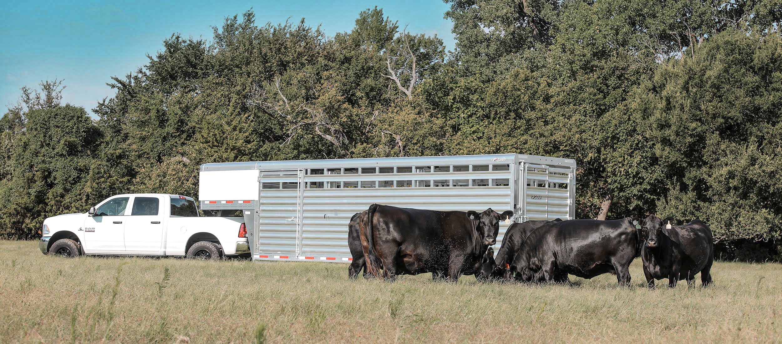 Exiss livestock trailer