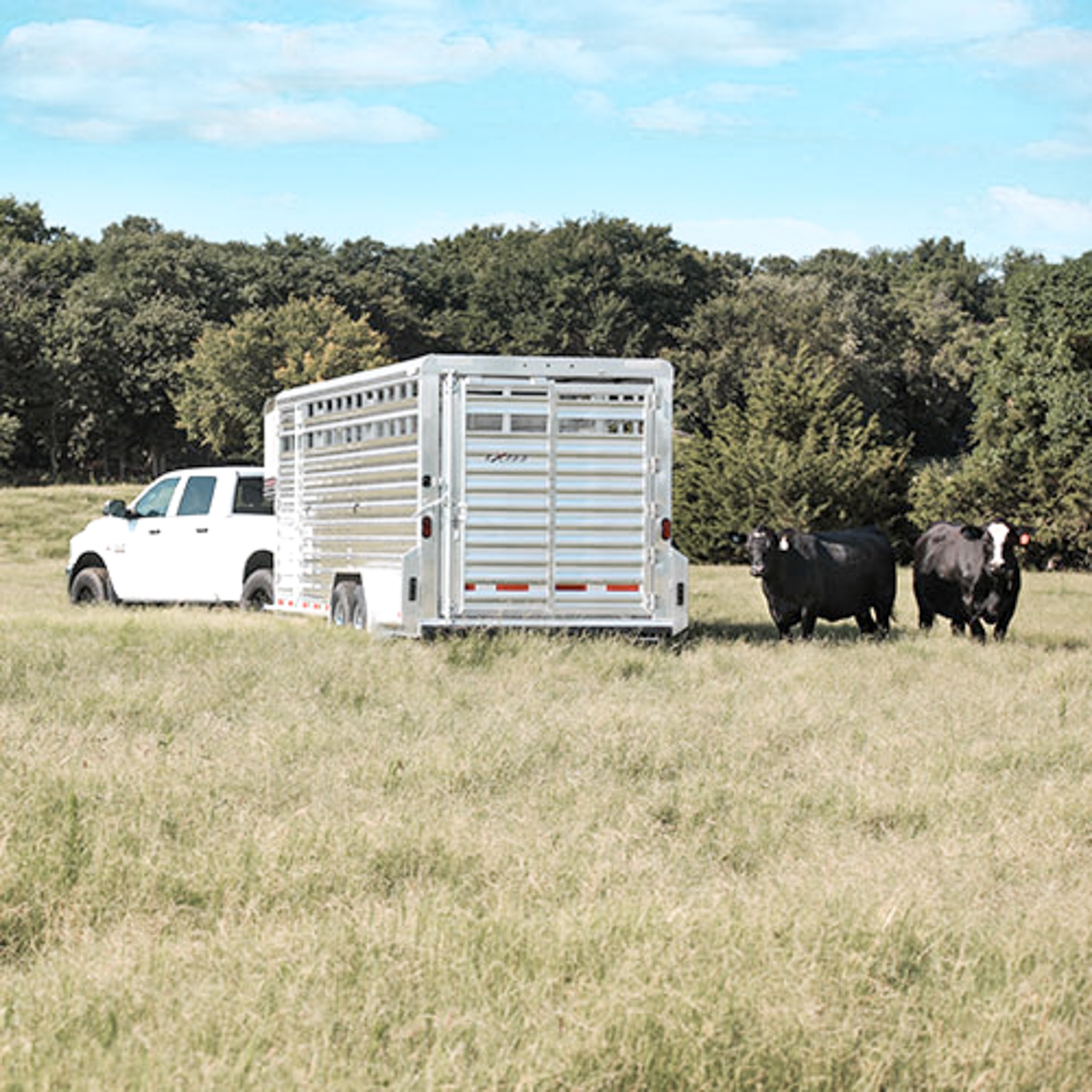 Livestock Trailers