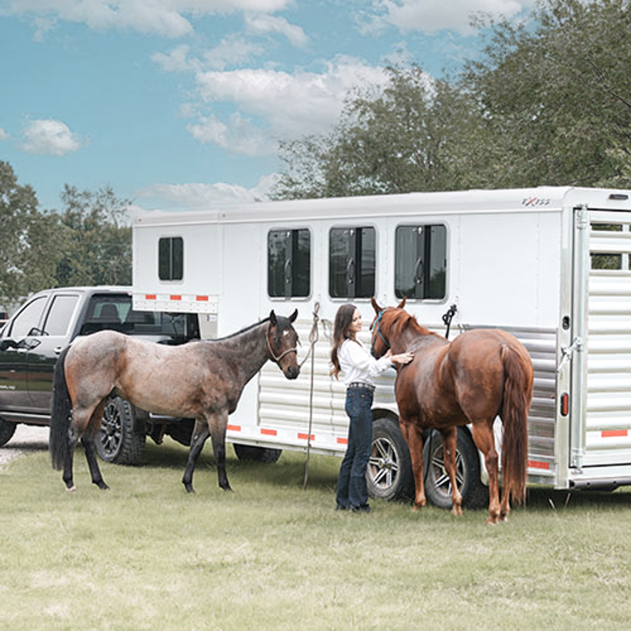 Horse Trailers